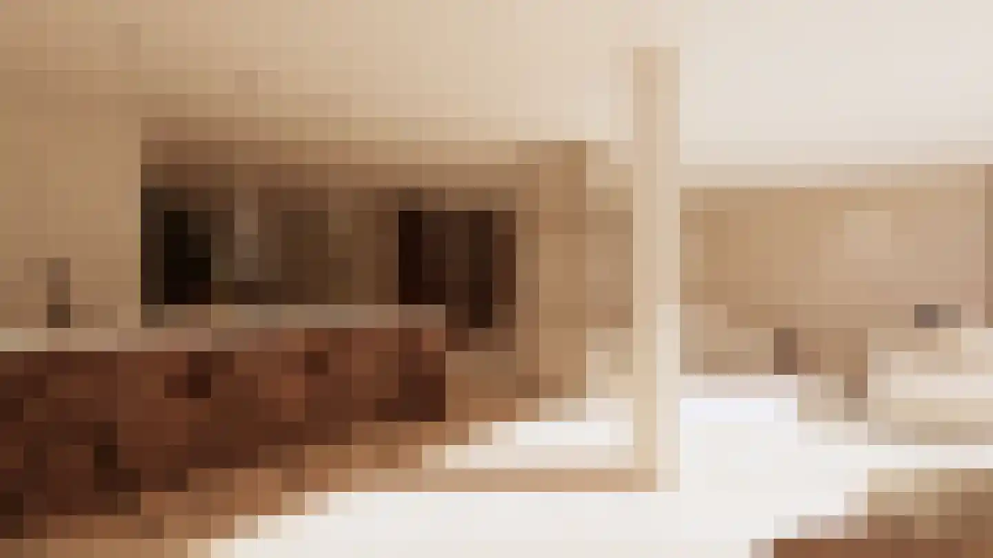 Richterstraat 67 Losser thumbnail 65