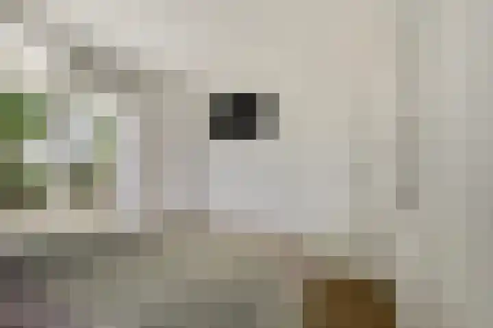 Richtersweg 226 Doorwerth thumbnail 24
