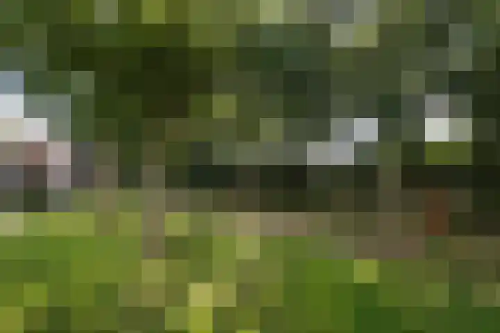 Richtersweg 226 Doorwerth thumbnail 25