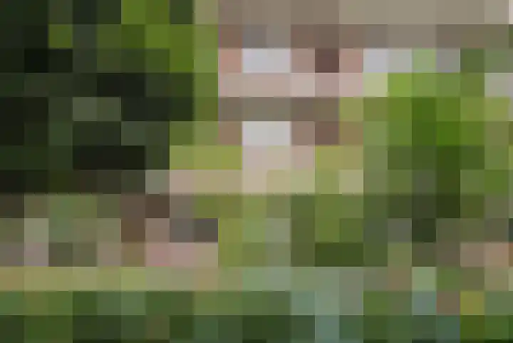 Richtersweg 226 Doorwerth thumbnail 26