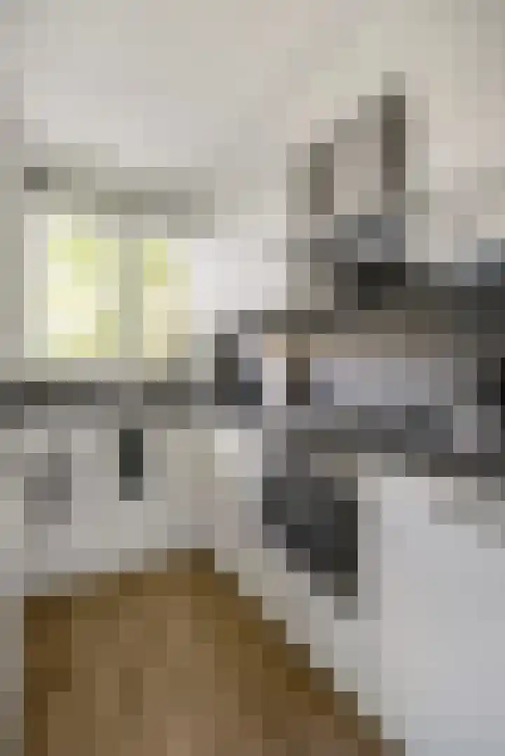 Richtersweg 226 Doorwerth thumbnail 8