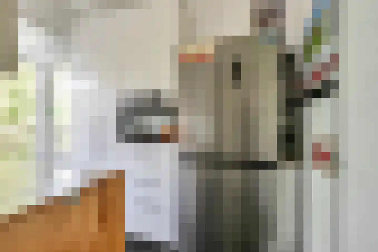 Richtersweg 260 Doorwerth thumbnail 11