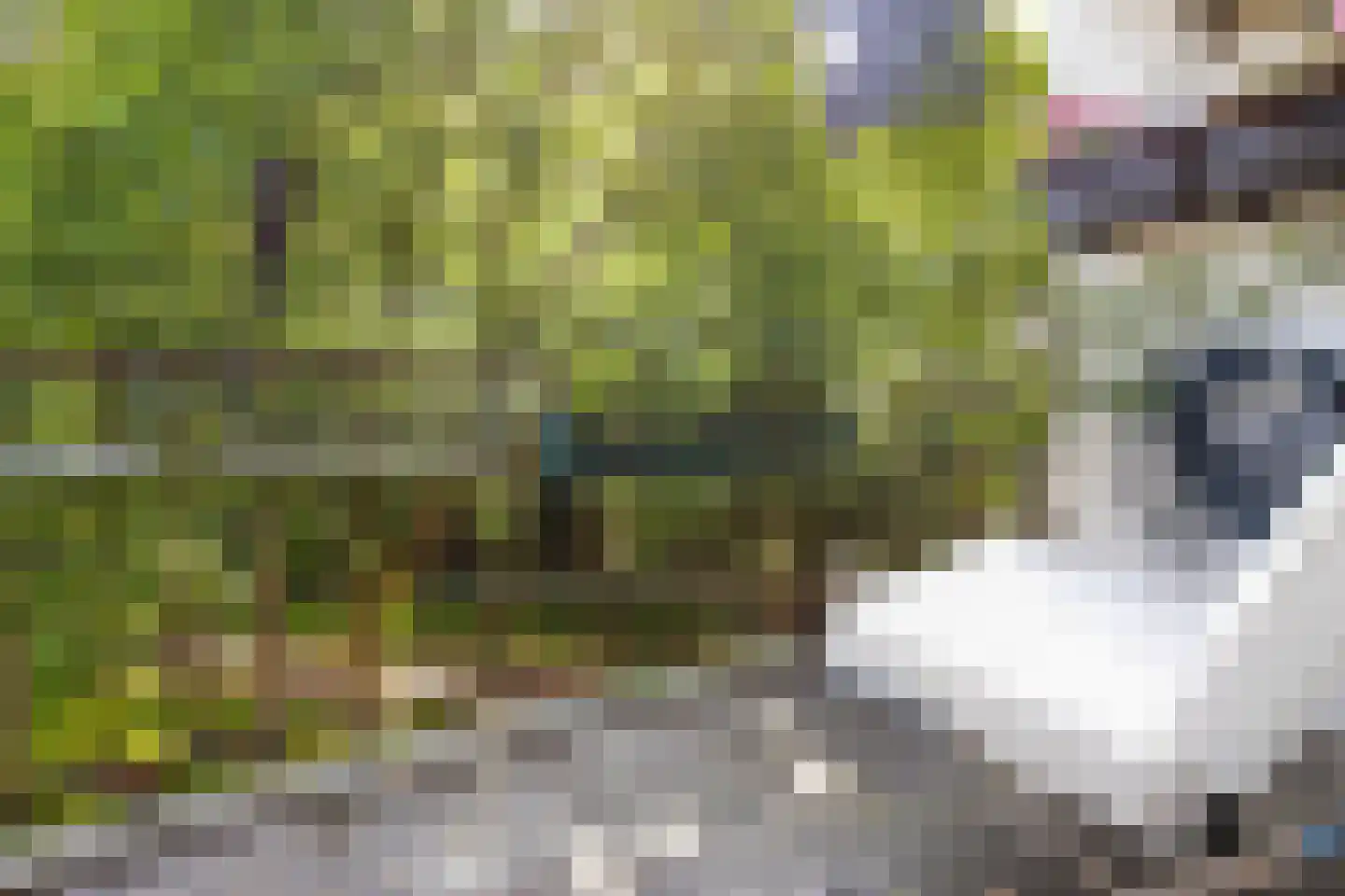 Richtersweg 260 Doorwerth thumbnail 16