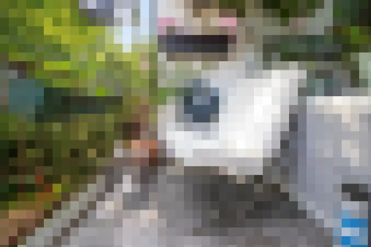Richtersweg 260 Doorwerth thumbnail 17