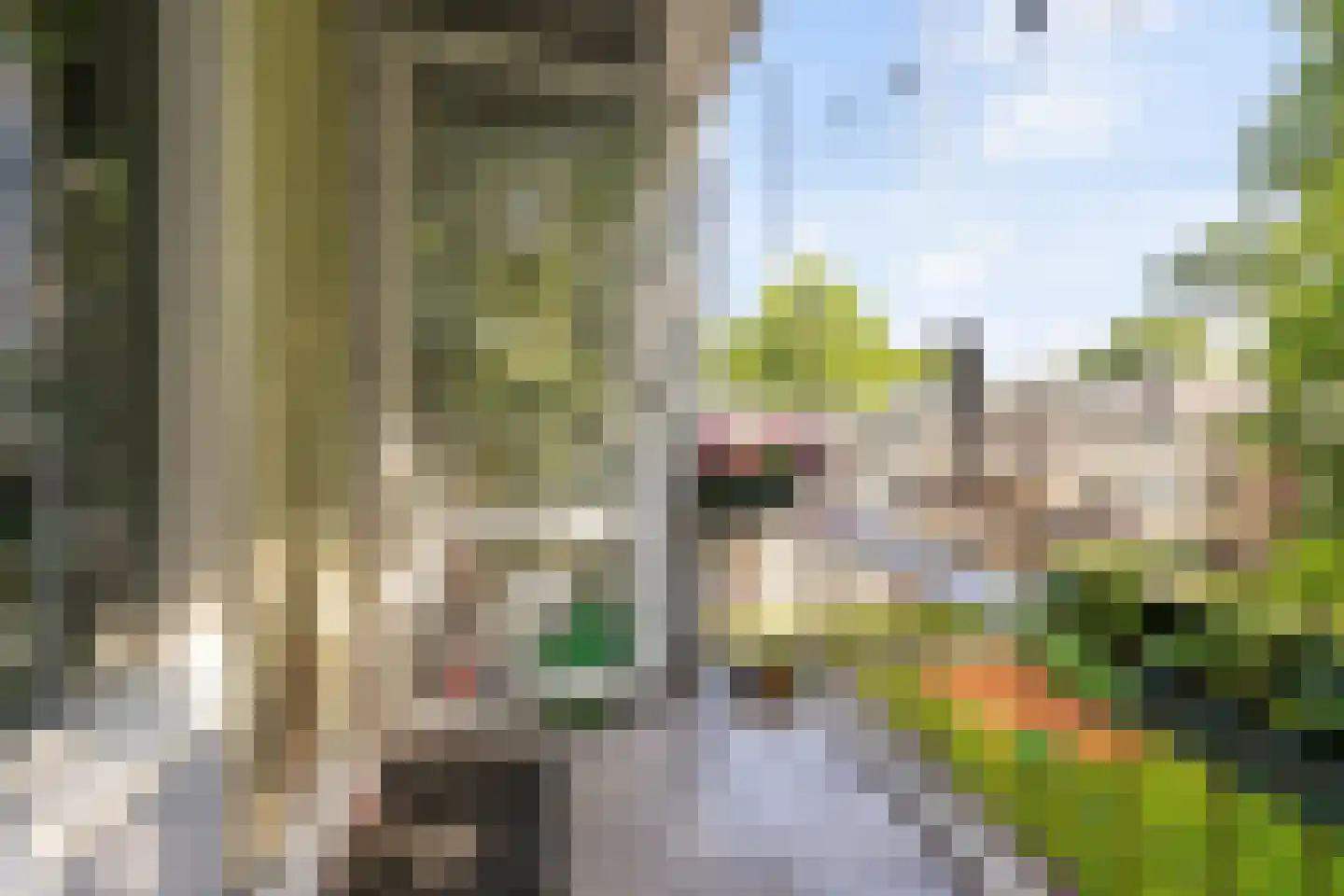 Richtersweg 260 Doorwerth thumbnail 19