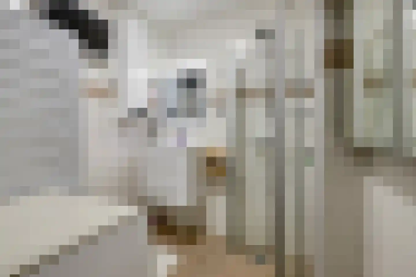 Richtersweg 260 Doorwerth thumbnail 22