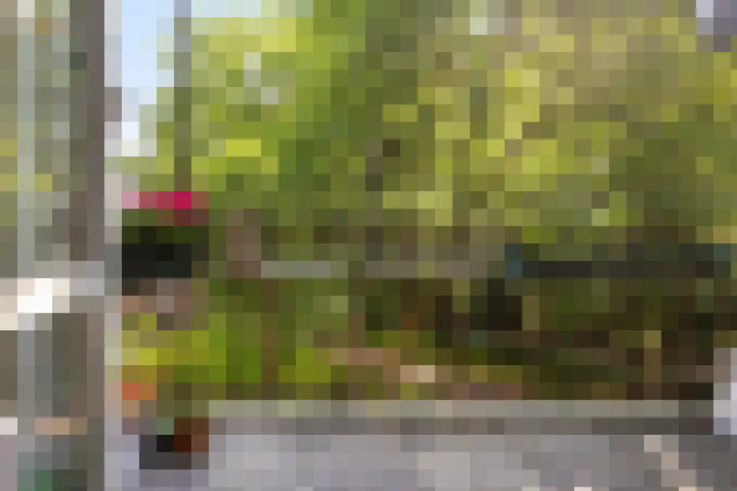 Richtersweg 260 Doorwerth thumbnail 6