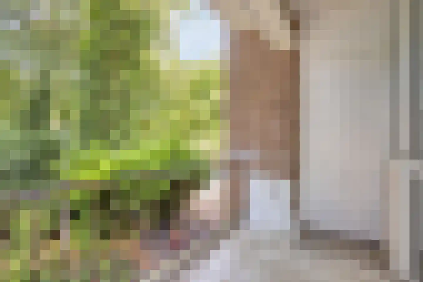 Richtersweg 312 Doorwerth thumbnail 17