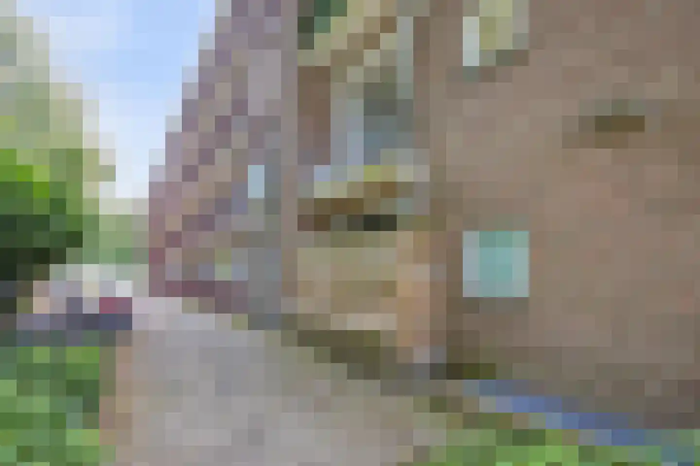Richtersweg 312 Doorwerth thumbnail 24