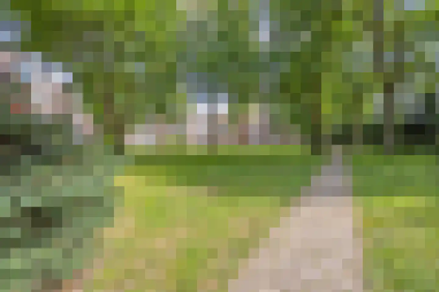 Richtersweg 312 Doorwerth thumbnail 27