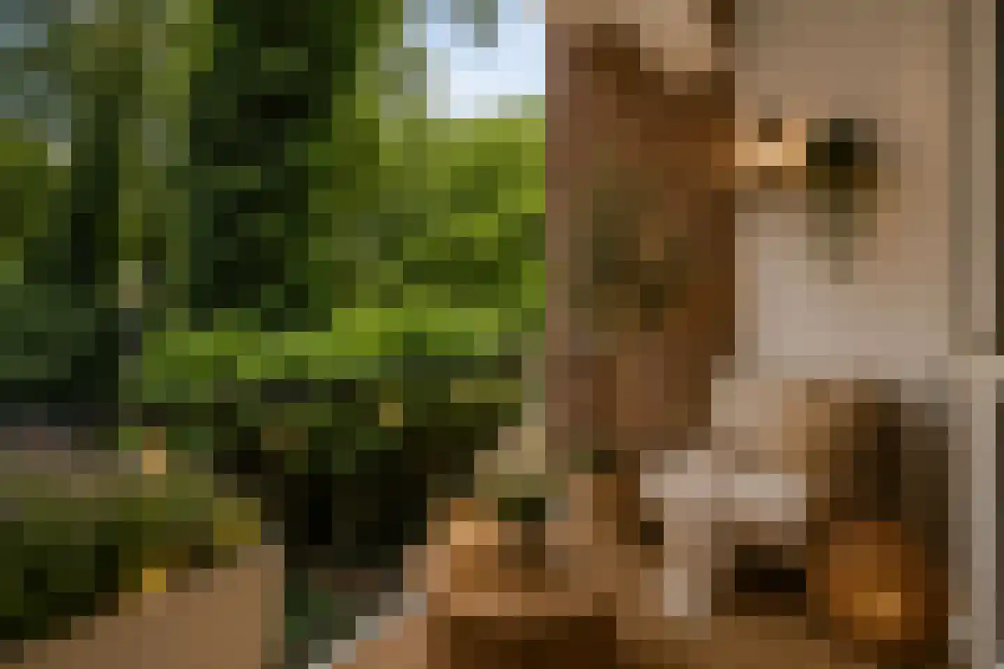 Richtersweg 312 Doorwerth thumbnail 6