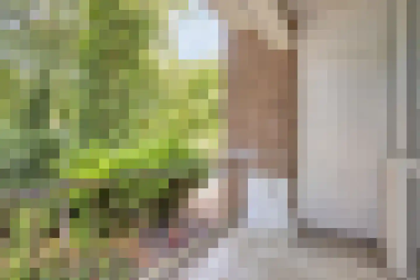 Richtersweg 312 Doorwerth thumbnail 7