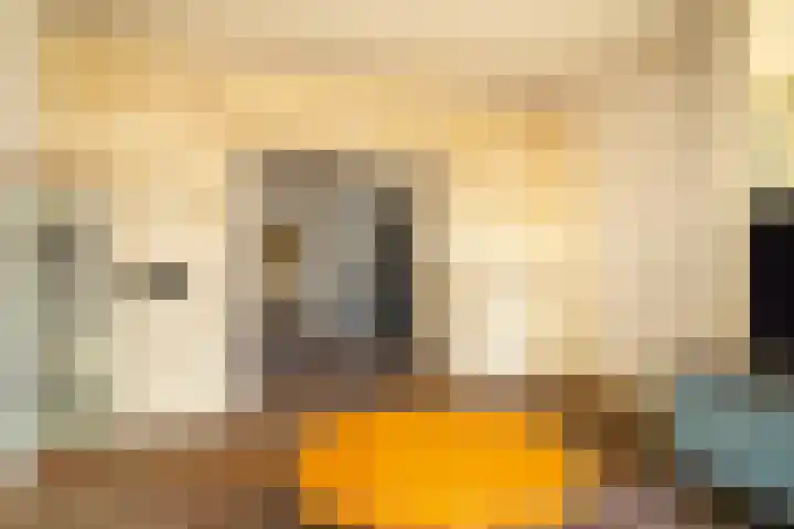 Richtersweg 32 Enschede thumbnail 8