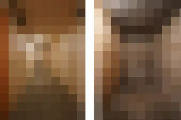 Richtersweg 344 Doorwerth thumbnail 16