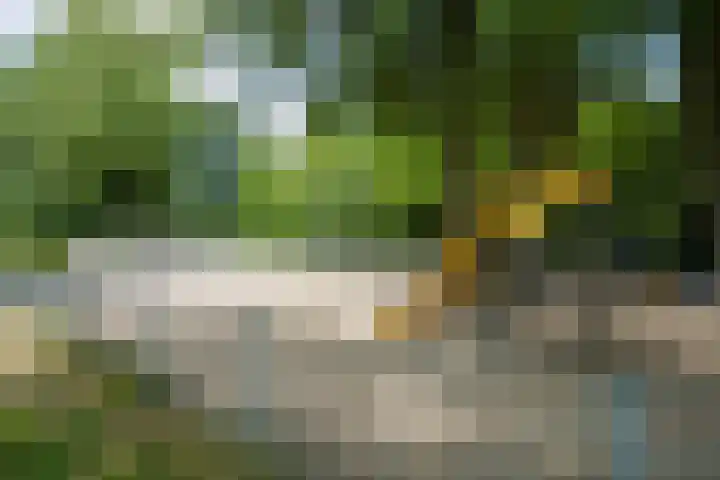 Richtersweg 344 Doorwerth thumbnail 17