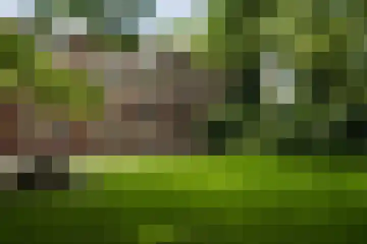 Richtersweg 344 Doorwerth thumbnail 18