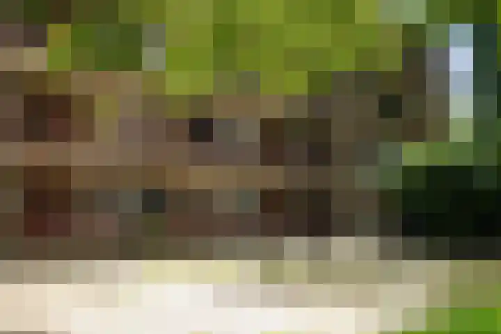 Richtersweg 344 Doorwerth thumbnail 5