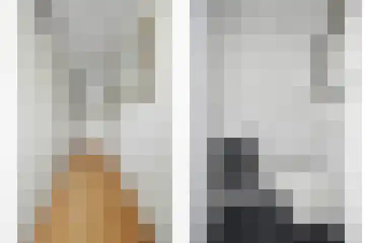 Ricoutsvoort 10 Helmond thumbnail 15