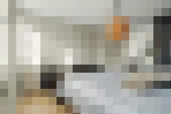 Ricoutsvoort 10 Helmond thumbnail 18
