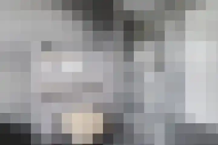 Ricoutsvoort 10 Helmond thumbnail 25