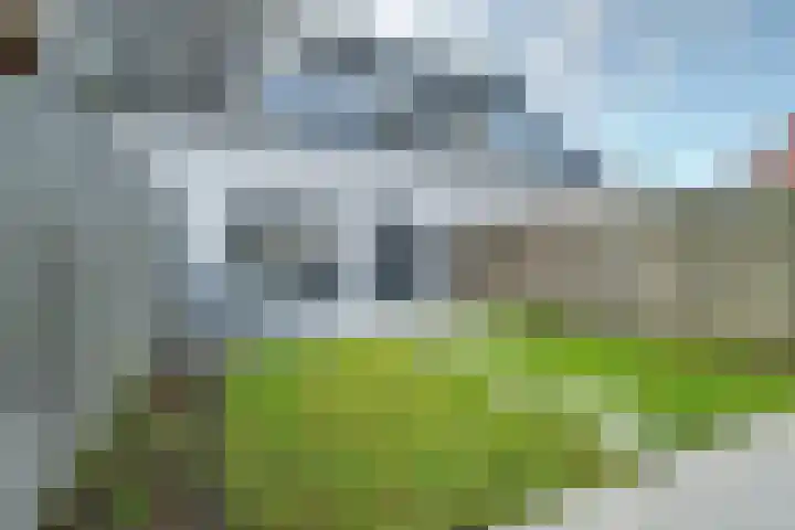 Ricoutsvoort 10 Helmond thumbnail 33