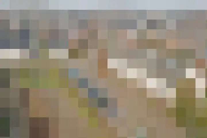 Ricoutsvoort 10 Helmond thumbnail 45