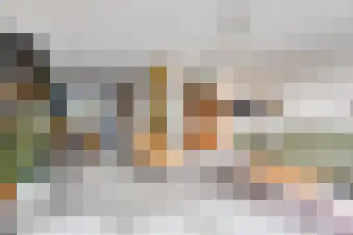 Ricoutsvoort 20 Helmond thumbnail 13