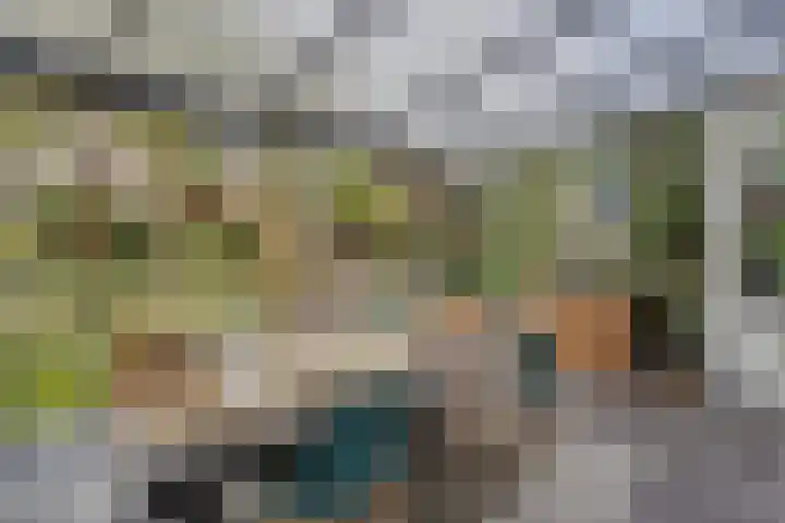Ricoutsvoort 20 Helmond thumbnail 19