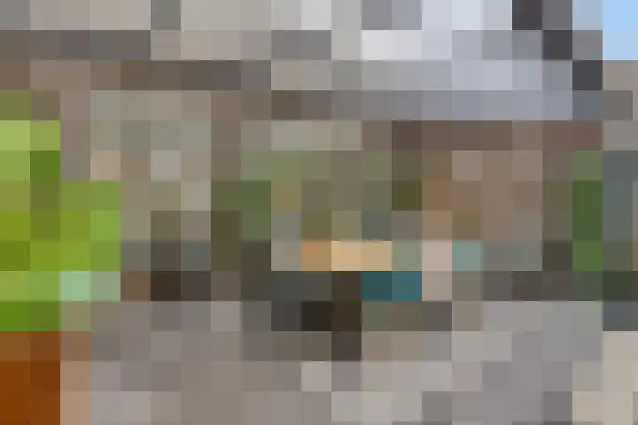 Ricoutsvoort 20 Helmond thumbnail 20