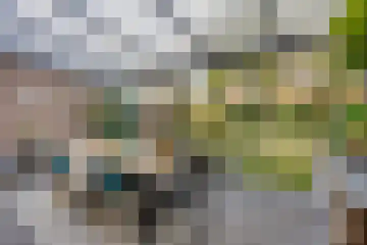 Ricoutsvoort 20 Helmond thumbnail 21