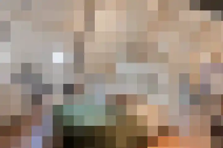 Ricoutsvoort 20 Helmond thumbnail 39