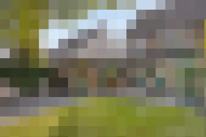 Ricoutsvoort 20 Helmond thumbnail 40