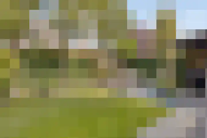 Ricoutsvoort 20 Helmond thumbnail 42