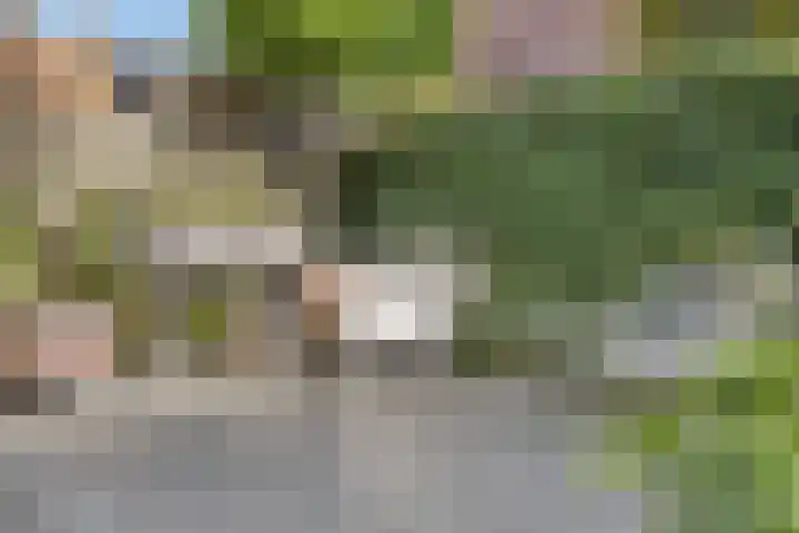 Ricoutsvoort 20 Helmond thumbnail 43