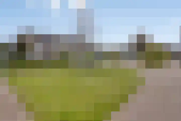 Ricoutsvoort 20 Helmond thumbnail 48