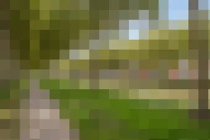 Ricoutsvoort 20 Helmond thumbnail 49