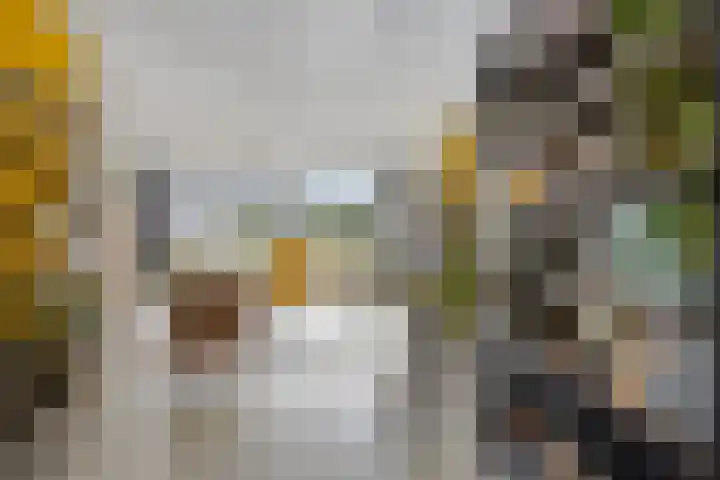 Ricoutsvoort 20 Helmond thumbnail 8