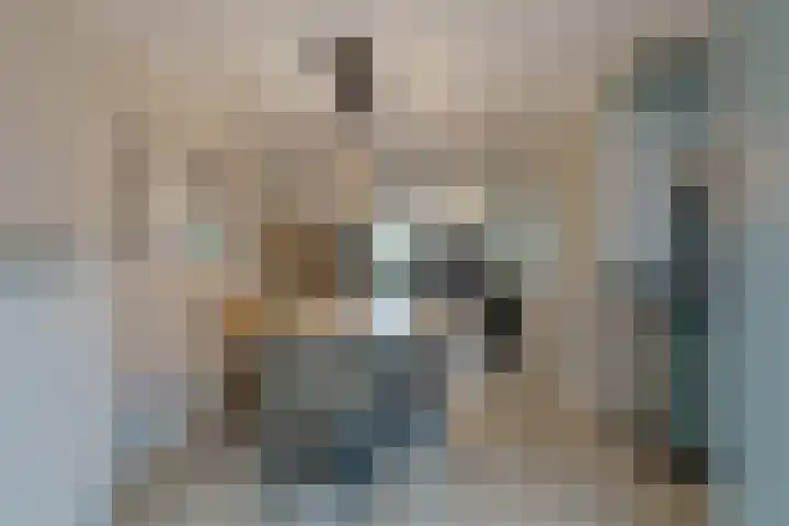 Ricoutsvoort 22 Helmond thumbnail 16