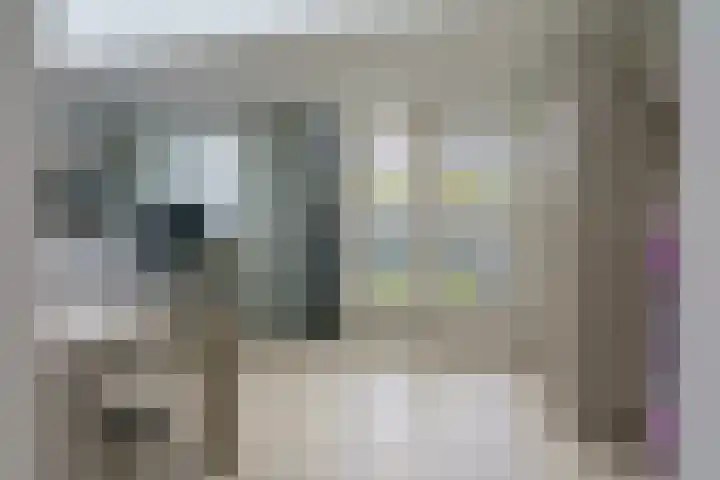 Ricoutsvoort 22 Helmond thumbnail 17