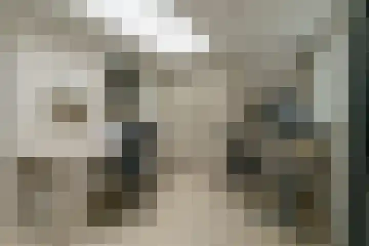 Ricoutsvoort 22 Helmond thumbnail 18