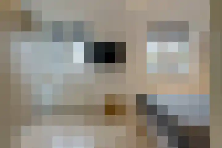 Ricoutsvoort 22 Helmond thumbnail 20