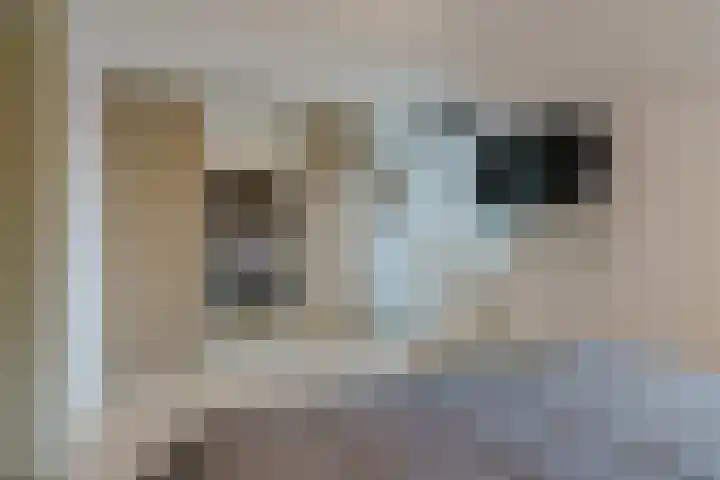 Ricoutsvoort 22 Helmond thumbnail 23