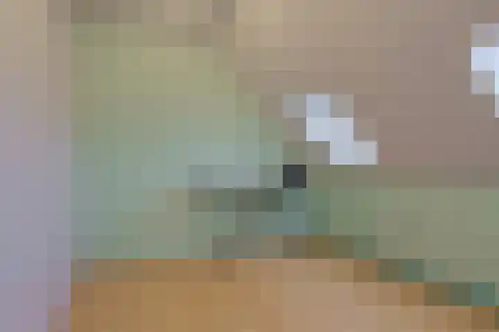 Ricoutsvoort 22 Helmond thumbnail 36