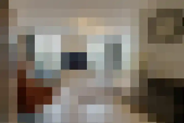 Ricoutsvoort 22 Helmond thumbnail 5