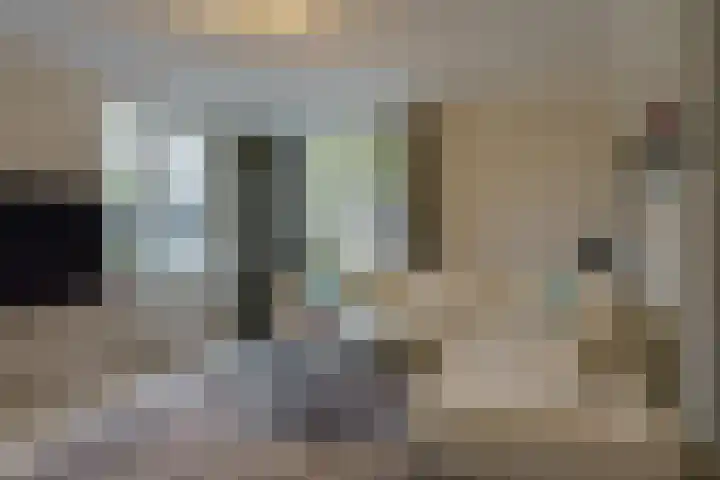Ricoutsvoort 22 Helmond thumbnail 8