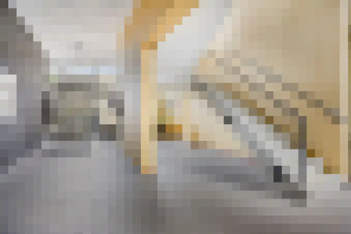 Ridder 54 Boxtel thumbnail 12