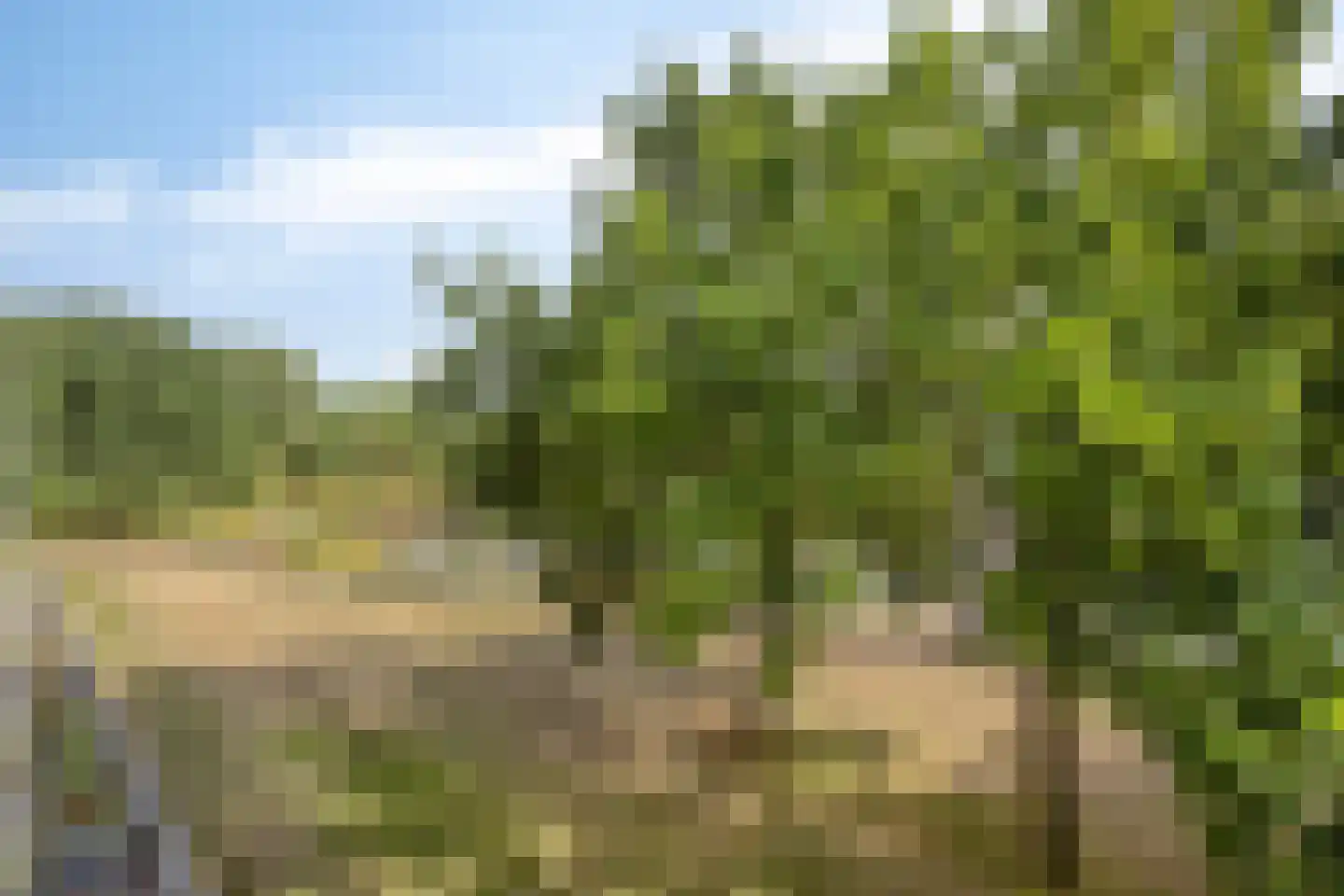Ridder 54 Boxtel thumbnail 33