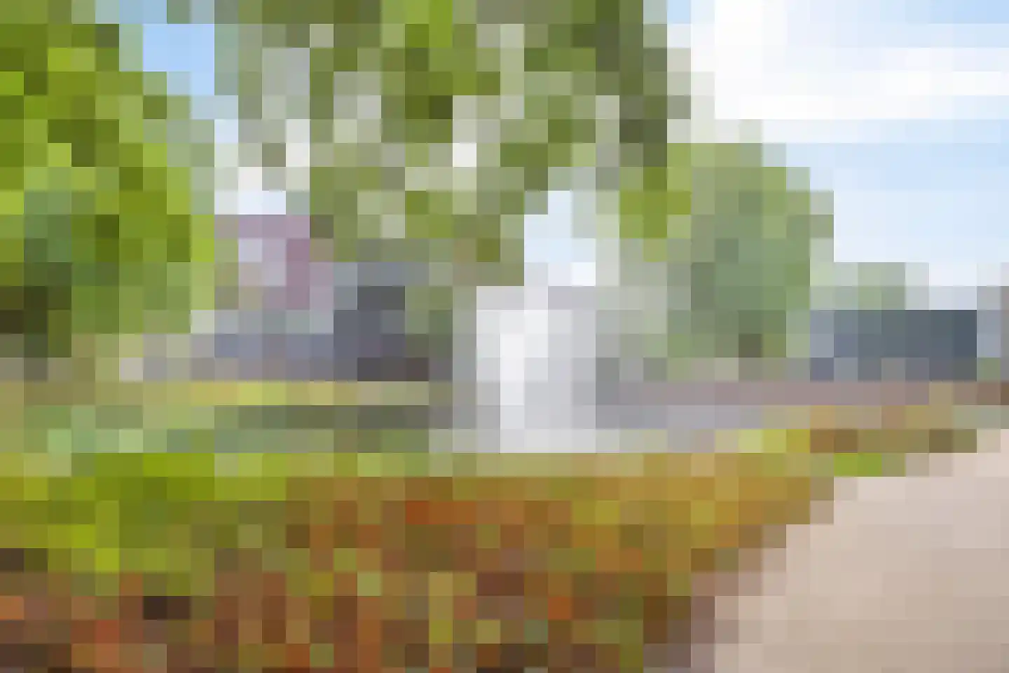 Ridder 54 Boxtel thumbnail 38