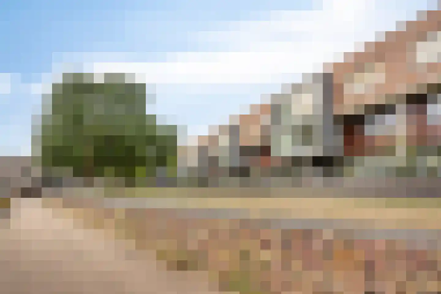 Ridder 54 Boxtel thumbnail 9