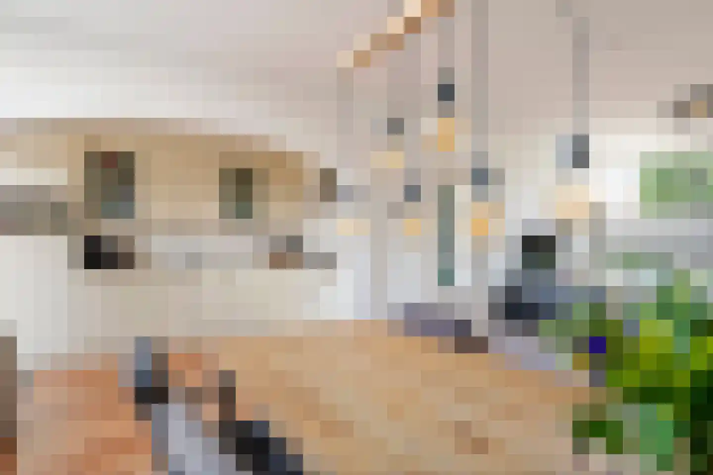 Ridder Alartlaan 24 Buren thumbnail 11